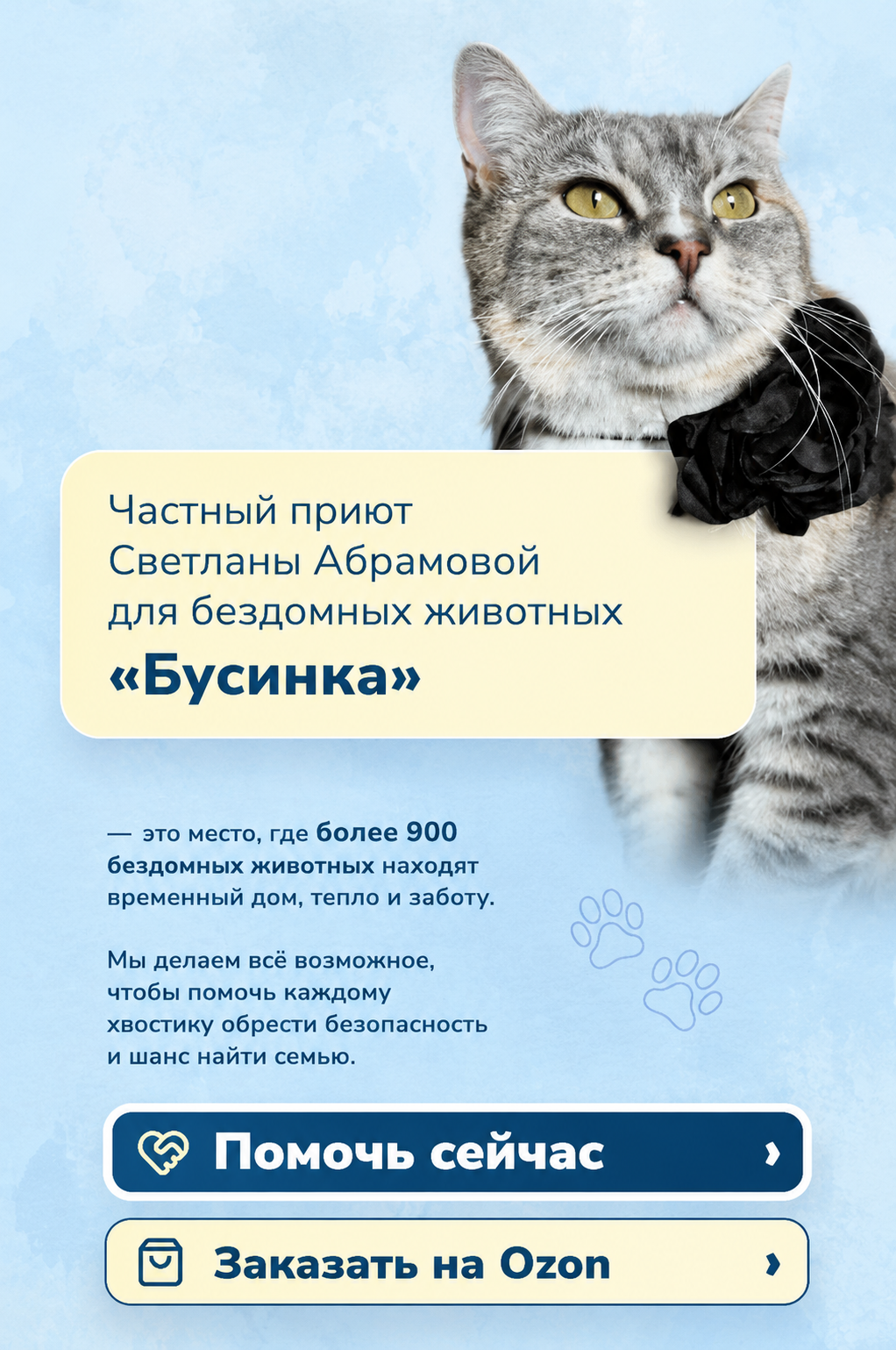 Частный приют Светланы Абрамовой для бездомных животных «Бусинка»